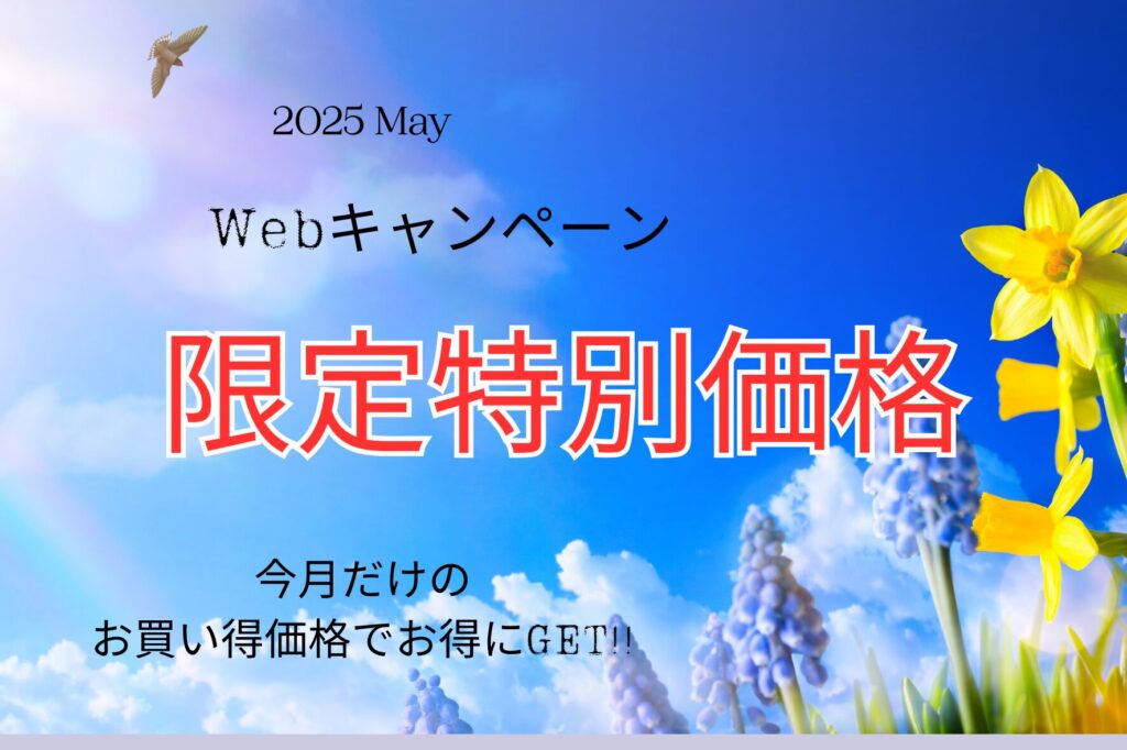 5月のWEB限定特別価格!!