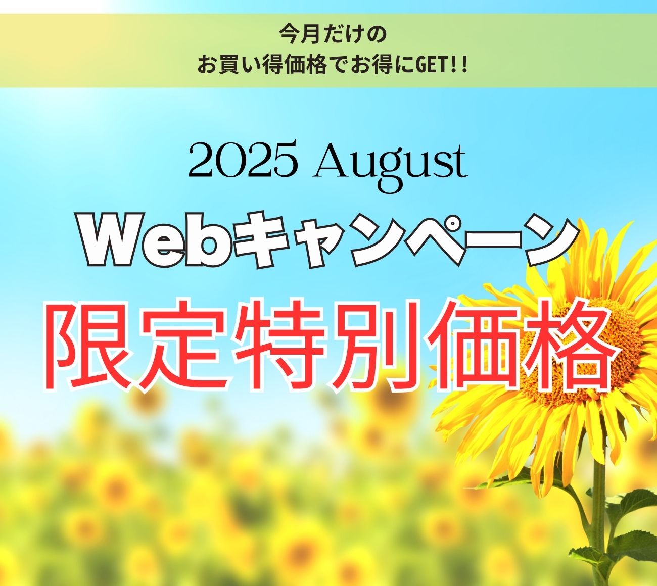 毎月１日 キャンペーン公開！