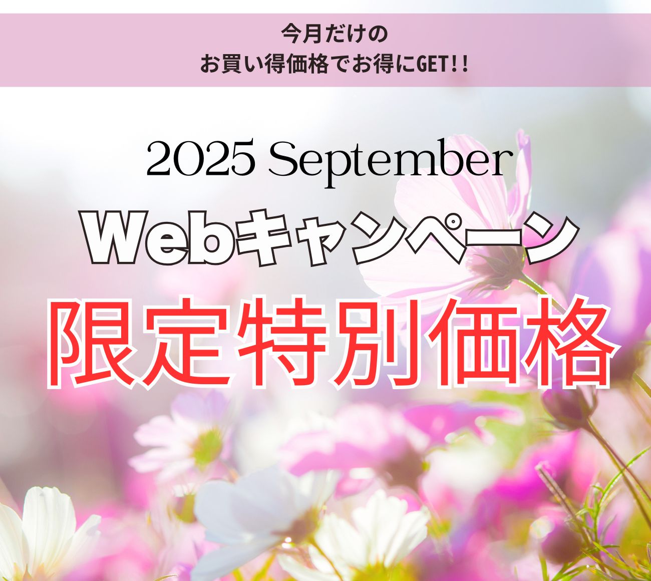 毎月１日 キャンペーン公開！