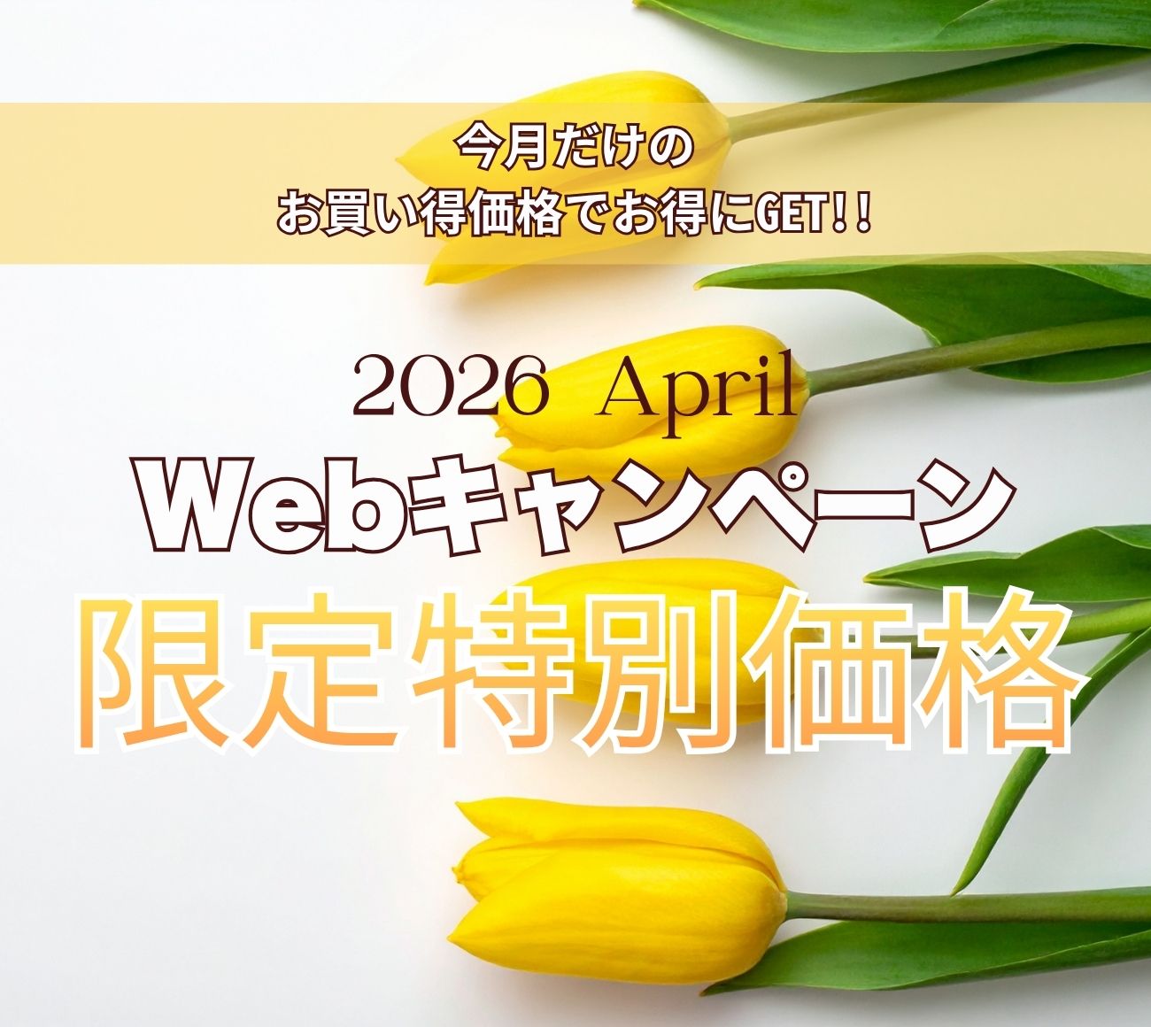 今月の キャンペーン